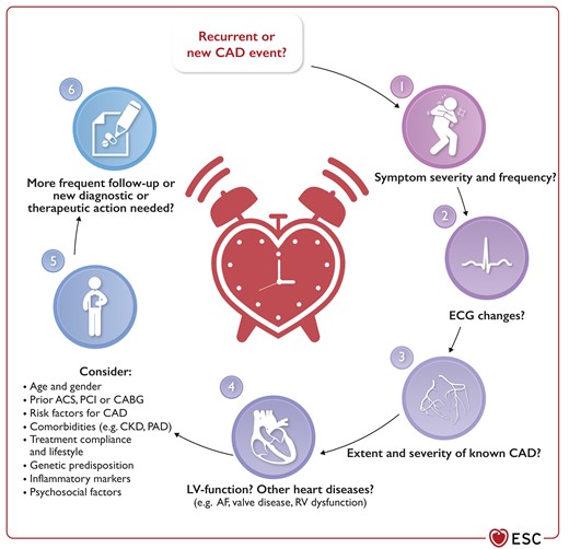 Approach for the follow-up of patients with established chronic coronary syndrome.