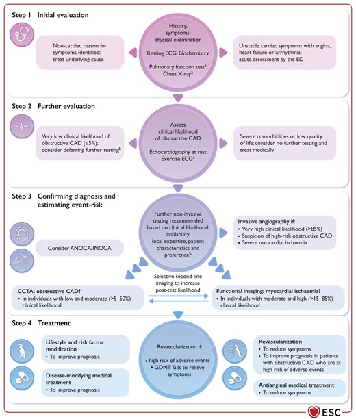 Stepwise approach to the initial management of individuals with suspected chronic coronary syndrome.