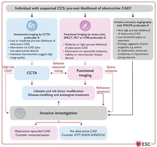 Initial management of symptomatic individuals with suspected chronic coronary syndrome.