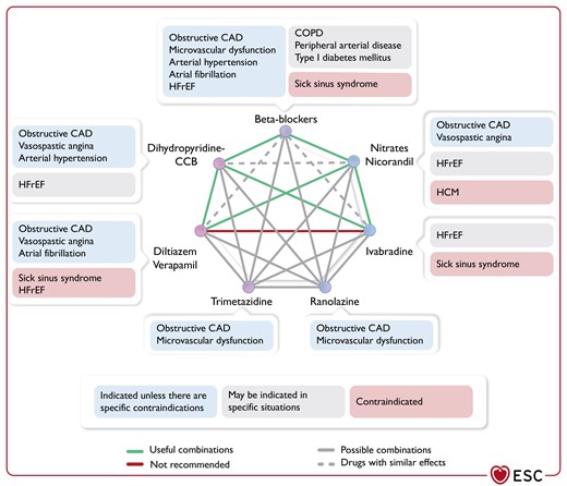 Possible combinations of antianginal drugs.