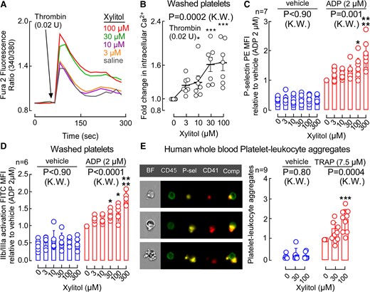 Xylitol increases stimulus-dependent intracellular calcium release and markers for activation in human platelets. (A) Representative fluorescent signal showing thrombin (0.02 U)-induced changes in intracellular calcium release in Fura 2-filled washed human platelets incubated with xylitol. (B) Fold change (relative to vehicle) in peak Fura 2 fluorescence following submaximal (0.02 U) thrombin stimulation at the indicated concentrations of xylitol in washed human platelets. Bars show mean with SEM indicated by whiskers. P-values were calculated by two-sided Kruskal–Wallis test with Dunn’s post hoc test. *P < .05; **P < .01; ***P < .001. (C) ADP-induced changes in P-selectin surface expression in washed human platelets pre-incubated with the indicated concentrations of xylitol. Plotted are interquartile ranges (boxes). The line in the box is the median, and whiskers represent minimum and maximum values. P-values were calculated by two-sided Kruskal–Wallis test with Dunn’s post hoc test. *P < .05; **P < .01; ***P < .001, **** P < .0001. (D) ADP-induced changes in GP IIb/IIIa (PAC-1 antibody staining) in washed human platelets pre-incubated with the indicated concentrations of xylitol. Plotted are interquartile ranges (boxes). The line in the box is the median, and whiskers represent minimum and maximum values. P-values were calculated by two-sided Kruskal–Wallis test with Dunn’s post hoc test. *P < .05; **P < .01; ***P < .001, ****P < .0001. (E, left) Representative fluorescent images of platelet–leucocyte aggregates (BF, bright field, CD45 in green, P-selectin in yellow, CD41 in red, merged image) in human whole blood stimulated with TRAP6 (7.5 μM). (Right) Numbers of platelet–leucocyte aggregates (CD45+, P-selectin+, CD41+) quantified by image stream in human whole blood incubated with indicated concentrations of xylitol at baseline (blue circles) and stimulated with 7.5 μM TRAP6 (red circles) relative to vehicle control with TRAP6. N numbers shown for donors for TRAP-stimulated blood samples, for unstimulated samples n = 6–8. P-values were calculated by two-sided Kruskal–Wallis test with Dunn’s post hoc test. *P < .05; **P < .01; ***P < .001