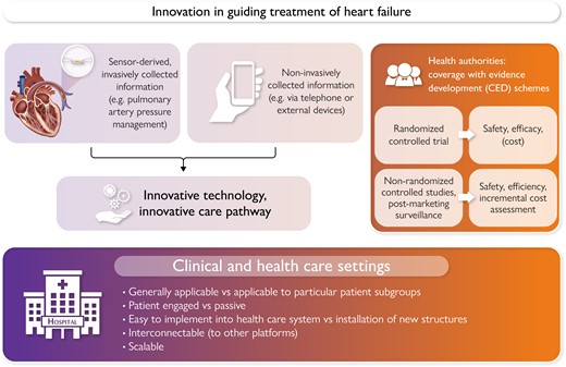 Components and processes that may affect the decision-making of health authorities when innovative technologies are to be integrated into a clinical or healthcare setting.