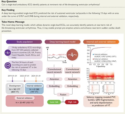 Overview of the development and validation of the deep learning–based model. Prediction of near-term sustained ventricular tachycardia (VT) using a single-lead 24 h electrocardiogram (ECG) achieved an area under the receiver operating characteristic curve (AUROC) of .957 and .948 in the internal and external validation data sets, respectively. Model explainability confirmed the role of premature ventricular complex (PVC) burden and identified early depolarization time as potential determinants for VT. CNN, convolutional neural network.