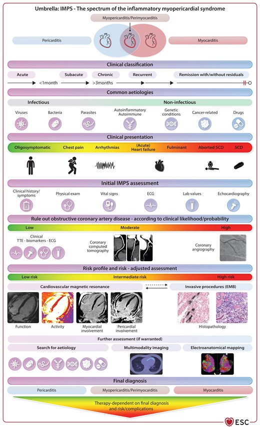 ESC central illustration of inflammatory myopericardial syndromes