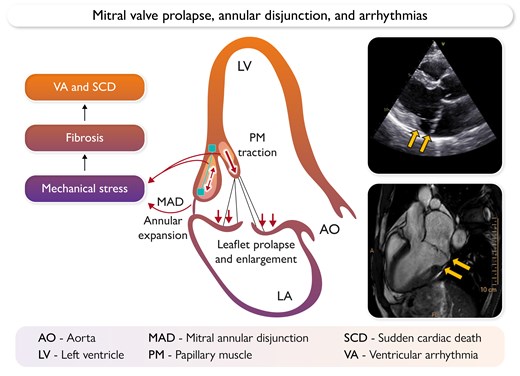 Graphical Abstract