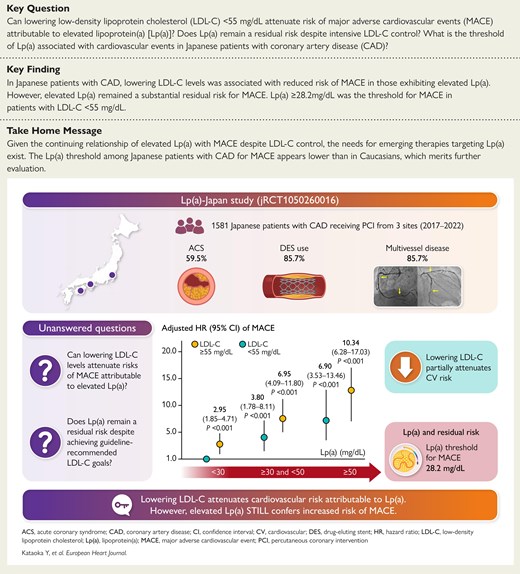 Graphical Abstract