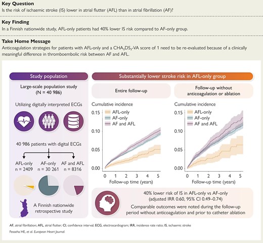Graphical abstract consisting of a study population on the left and two cumulative incidence graphs on the right. The left panel shows a breakdown of 40,986 patients with digitally interpreted ECGs into three groups: AF-only (n=30,261), AFL-only (n=2,409), and AF & AFL (n=8,316). The right panel displays cumulative incidence curves for ischaemic stroke comparing the three groups across the entire follow-up and during follow-up without anticoagulation or ablation. In both graphs, the AFL-only group consistently shows lower stroke incidence than the AF-only and AF & AFL groups, demonstrating a 40% lower risk of ischaemic stroke in AFL-only versus AF-only (adjusted IRR 0.60, 95% CI 0.49–0.74).