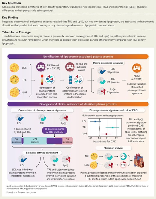 悪玉コレステロール以外の心疾患リスクに関わる新たな手がかり(Beyond ‘bad’ cholesterol: new clues to the risk of heart disease) 悪玉コレステロール以外の心疾患リスクに関わる新たな手がかり(Beyond ‘bad’ cholesterol: new clues to the risk of heart disease)