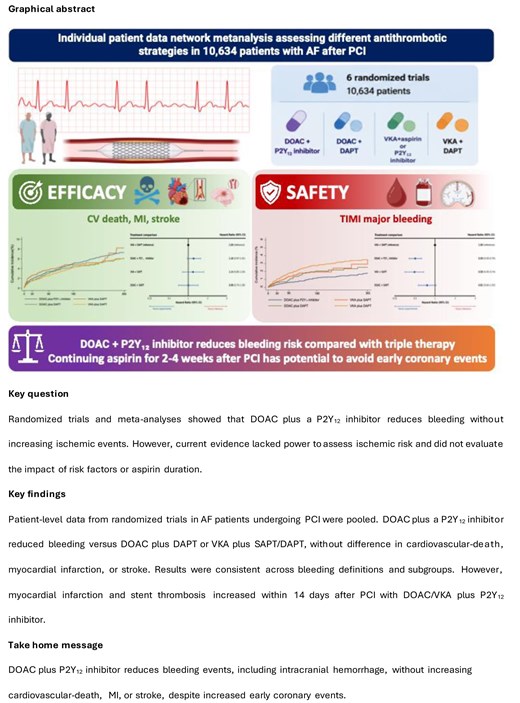 Graphical abstract
