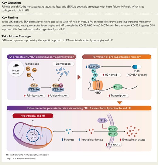 For graphical abstract description, please refer to the textual abstract.