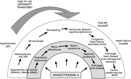 The ‘cardiovascular continuum’ of Dzau and Braunwald.37 The ONTARGET and TRANSCEND studies have filled an ‘evidence gap’ by documenting the benefits of ARB therapy in high-risk patients without overt heart failure. CV, cardiovascular; MI, myocardial infarction; LVH, left ventricular hypertrophy.
