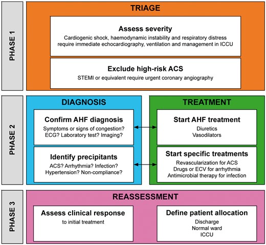 Early management of AHF.