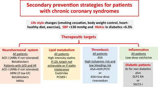 Secondary prevention strategies in patients with chronic coronary syndromes. Future clinical guidelines on the management of chronic coronary syndromes will likely include anti-inflammatory strategies. ACE, angiotensin converting enzyme; ADP, adenosine diphosphate; ARB, angiotensin II receptor blocker; ASA, aspirin; EF, ejection fraction; GLP1 RA, glucagon-like peptide 1 receptor agonist; Hb, haemoglobin; HF, heart failure; i, inhibitor; LDL, low-density lipoprotein; LVD, left ventricular dysfunction; MRAs, mineralocorticoid receptor antagonists; PCSK9, proprotein convertase subtilisin/kexin type 9; SBP, systolic blood pressure; SGLT2, sodium glucose cotransporter type 2.