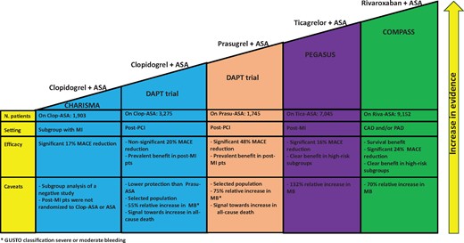 Current evidence from randomized studies on different antithrombotic approaches on top of aspirin for secondary cardiovascular prevention in patients with chronic coronary syndrome. ASA, aspirin; MACE, major adverse cardiovascular events; MB, major bleeding; MI, myocardial infarction; PAD, peripheral artery disease; PCI, percutaneous coronary intervention.
