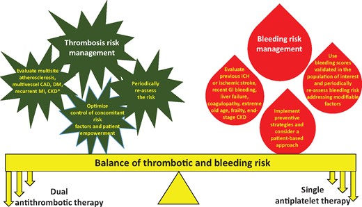 Practical approach to the factors to be evaluated for the choice of antithrombotic treatment in the patient with chronic coronary syndrome. CAD, coronary artery disease; CKD, chronic kidney disease; DM, diabetes mellitus; GI, gastro-intestinal; ICH, intracranial haemorrhage; MI, myocardial infarction.