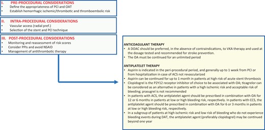 Algorithm for the management of patients with atrial fibrillation and indication for anticoagulant therapy undergoing coronary angioplasty. ACS, acute coronary syndrome; CCS, chronic coronary syndrome; DAT, double antithrombotic therapy; DOAC, direct oral anticoagulants; NSAID, non-steroidal anti-inflammatory drugs; OA, oral anticoagulant; PCI, coronary angioplasty; PPIs, proton pump inhibitors; VKA, vitamin K antagonists.