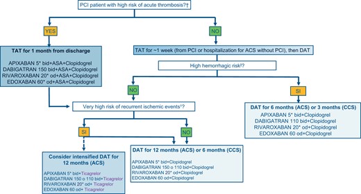 Decision-making algorithm on antithrombotic therapy to be applied at the time of discharge of AF patients undergoing PCI. N.B. It is possible to replace clopidogrel or ticagrelor with aspirin in case of intolerance, contraindications or side effects. ACS, acute coronary syndrome; CCS, chronic coronary syndrome; DAT, double antithrombotic therapy (1 antiplatelet + 1 anticoagulant); PCI, coronary angioplasty; TAT, triple antithrombotic therapy (2 antiplatelet + 1 anticoagulant). aFinal TIMI flow 0/1, residual dissection, residual intracoronary thrombosis, or subtraction angiography images, inadequate stent expansion or rupture; see Table 5 criteria, excluding long-term OA from the assessment of the major criteria. To be considered at high bleeding risk, patients must have at least one higher risk criterion or at least two minors; bSee criteria in Table 3; cReduce the dosage according to the instructions in the package leaflet.