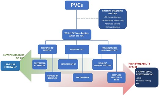 Clinical management of premature ventricular complexes. Risk stratification flow chart for structural heart disease in patients with premature ventricular complexes, clinical evaluation, and subsequent follow-up. CMR, cardiac magnetic resonance; EPS, electrophysiological study; NSVT, non-sustained ventricular tachycardia; PVC, premature ventricular complex; SHD, structural heart disease.