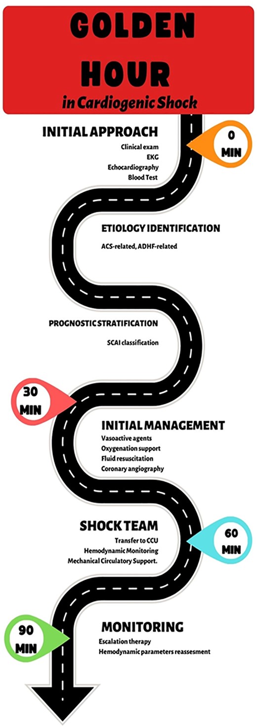 Modified from Polyzogopoulou E., Bezati S., Karamasis G., Boultadakis A., Parissis J. Early Recognition and Risk Stratification in Cardiogenic Shock: Well Begun Is Half Done. J Clin Med. 2023 Apr 1; 12(7):2643.