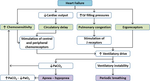 Mechanisms of generation of exercise oscillatory ventilation in patients with heart failure. *LV, left ventricular; PaO2, arterial partial pressure of oxygen; PaCO2, arterial partial pressure of carbon dioxide (adapted from Dhakal and Lewis16).