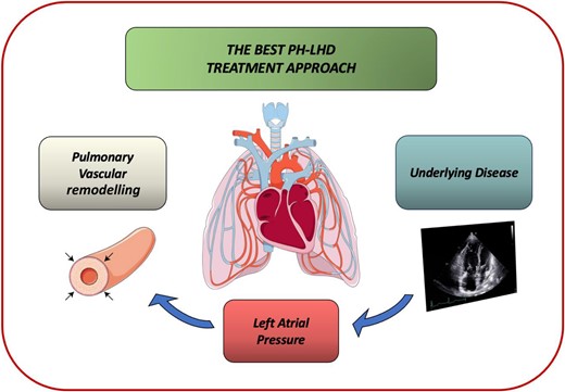 The best pulmonary hypertension-left heart disease therapeutic approach includes the correction of the underlying substrate, the optimization of heart failure treatment to lower left ventricular filling pressures, and the prevention and treatment of pulmonary hypertension.