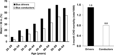 Associations between occupational physical activity, obesity, and mortality in the 3 months following a first CHD event in transport workers in London, UK. Proportions with waist >36 in. were adjusted for subjects' height; 36 in. is equivalent to 91.4 cm. Between 58 and 214 men were studied for each age group in either occupation. Mortality data are standardized mortality rates for individuals aged 35–64 for years 1949–52. Drawn from data presented by Morris et al.57 and Heady et al.58