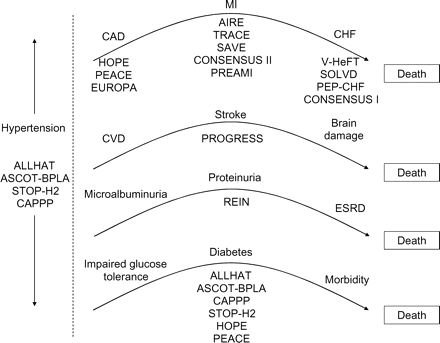 Major studies of angiotensin-converting enzyme-inhibitors along the cardiovascular disease continuum. AIRE, Acute Infarction Ramipril Efficacy Study; ALLHAT, Antihypertensive and Lipid-lowering Treatment to Prevent Heart Attack Trial; ASCOT-BPLA, Anglo-Scandinavian Cardiac Outcomes Trial-Blood Pressure Lowering Arm; CAD, coronary artery disease; CAPPP, Captopril Prevention Project; CHF, congestive heart failure; CONSENSUS, Cooperative North Scandinavian Enalapril Survival Study; CVD, cerebrovascular disease; EUROPA, European Trial on Reduction of Cardiac Events with Perindopril among Patients with Stable Coronary Artery Disease; ESRD, end-stage renal disease; HOPE, Heart Outcomes Prevention Evaluation; MI, myocardial infarction; PEACE, Prevention of Events with ACE Inhibition; PEP-CHF, Perindopril in Elderly People with Chronic Heart Failure; PREAMI, Perindopril and Remodeling in Elderly with Acute Myocardial infarction; PROGRESS, Perindopril Protection against Recurrent Stroke Study; REIN, Ramipril Efficacy in Nephropathy; SAVE, Survival and Ventricular Enlargement study; SOLVD, Studies of Left Ventricular Dysfunction; STOP-H2, Swedish Trial in Old Patients with Hypertension; TRACE, Trandolapril Cardiac Evaluation Study; V-HeFT, Vasodilator-Heart Failure Trial.