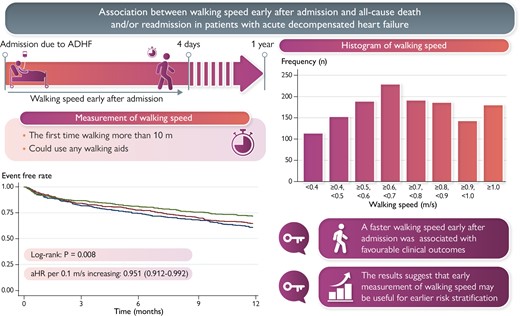 Graphical Abstract