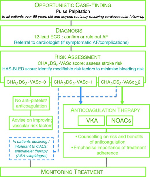 Flow chart of recommendations. Management of stroke prevention in atrial fibrillation as recommended in this document. Strength of recommendations is indicated by colour, with recommendations that should be used in green, and interventions that may be considered in blue. See text for explanation of HAS-BLED and CHA2DS2-VASc scores. AF: atrial fibrillation; OACs: oral anticoagulants; NOACs: novel oral anticoagulants; ASA: acetyl salicylic acid; VKA: vitamin K antagonists.