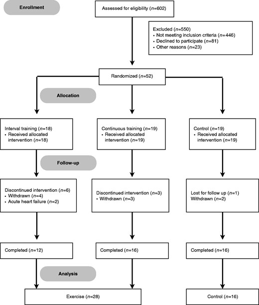 Flow diagram of patients in the study.