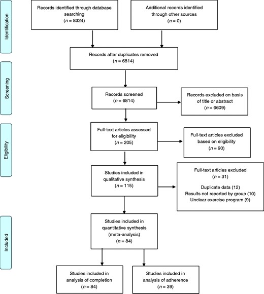 PRISMA flow diagram showing the process of identifying records eligible for review.