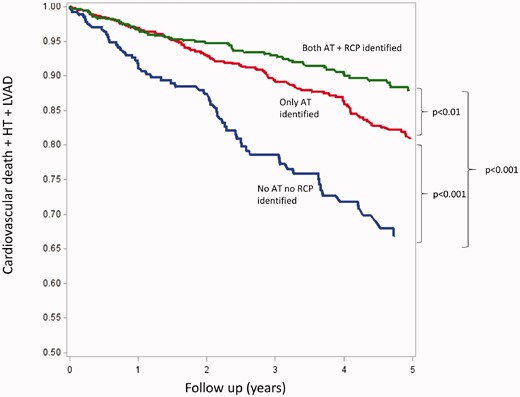 Five-year survival, assessed by the composite of cardiovascular death, urgent heart transplantation (HT) and left ventricular assist device (LVAD) in groups 1 (neither anaerobic threshold (AT) nor respiratory compensation point (RCP) detectable), 2 (detectable AT but no RCP) and 3 (both AT and RCP detectable), respectively. Reproduced from Carriere et al.42 with permission.