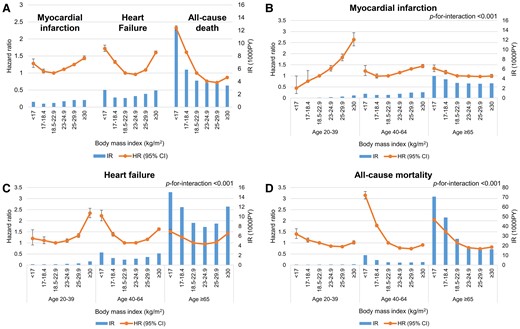 Associations of body mass index with myocardial infarction, heart failure, and all-cause death. Associations of body mass index with myocardial infarction, heart failure, and all-cause death are shown (A) in the total population and (B–D) according to age groups. For each body mass index group, incidence rates per 1000 person-years are shown in bar charts mapped to the right y-axis, and hazard ratios and 95% confidence intervals with the optimal normal-weight (18.5–22.9 kg/m2) group as reference are shown in line graphs mapped to the left y-axis. Adjusted for age, sex, smoking status, drinking status, physical activity level, hypertension, diabetes mellitus, dyslipidaemia, and chronic kidney disease.