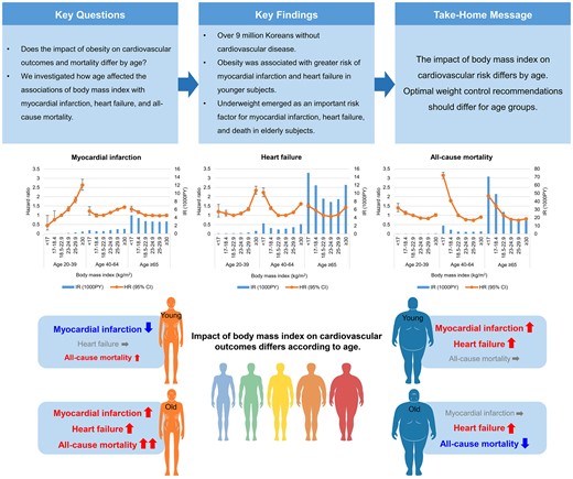 The impact of body mass index on cardiovascular risk differs according to age.