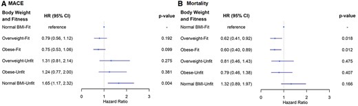 Adjusted risk of major adverse cardiovascular events (A) and all-cause mortality (B) by body weight and physical fitness groups. Hazard ratios in relation to reference group (normal body mass index-fit) adjusted for age, ever smoker, coronary artery disease severity score, history of congestive heart failure, diabetes, and hypertension in both models and postmenopausal status was also adjusted for in the major adverse cardiovascular events model.