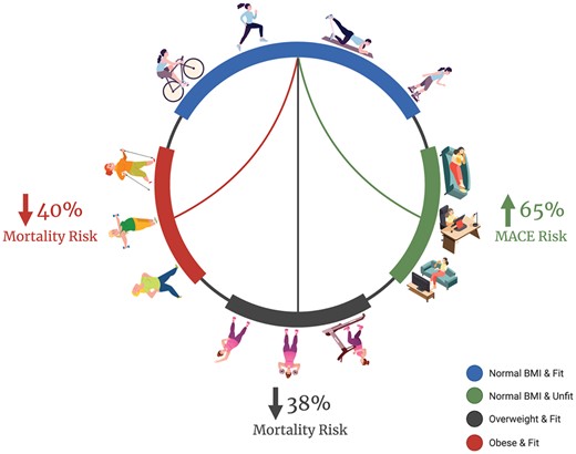 Risk of all-cause mortality by body weight and physical fitness groups. Figure created with BioRender.com.