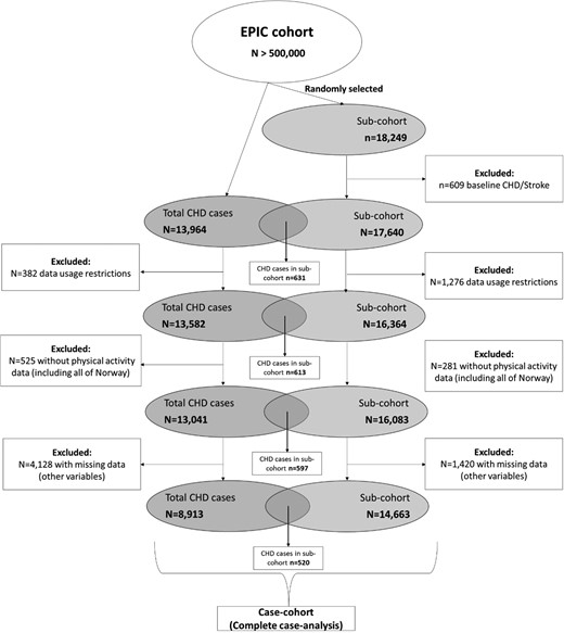 Flow diagram of the study design and the number of included and excluded participants. The sub-cohort includes CHD cases and non-cases where CHD cases refer to those with incident fatal and non-fatal CHD events.