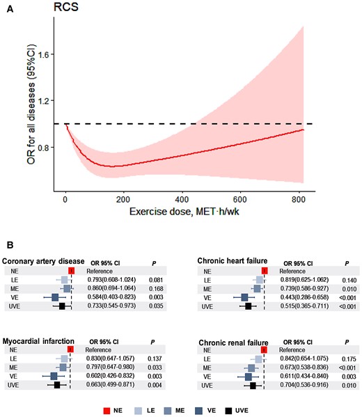 Relationship between exercise dose and risk of all diseases. (A) Restrict cubic spline analyses was performed to explore the shape of the dose-response relation between exercise volume and risk of all diseases. Results were adjusted for age, gender, smoking status, occupation, education level, and income level. Restrict cubic spline model were conducted with three knots at the 5th, 50th, and 95th percentiles of metabolic equivalent hours per week. (B) Binomial regression models were used to estimate odds ratios and 95% confidence intervals for coronary artery disease, chronic heart failure, myocardial infarction, and chronic renal failure morbidity according to metabolic equivalent hours per week with never exercise group as the reference group, and were adjusted for age, sex, smoking status, occupation, income, alcohol consumption, and education level.