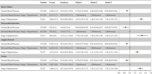 Association between blood pressure category at 1 year after the initial health check-up and the risk for heart failure, myocardial infarction, angina pectoris, and stroke event. Relationship of blood pressure category at one-year after the initial health check-up with the risk of heart failure, myocardial infarction, angina pectoris, and stroke is summarized. The incidence rate (95% confidence interval) per 10000 person-years is presented. Hazard ratios (95% confidence intervals) are shown. Model 1 is unadjusted. Model 2 includes adjustment for age and sex. Model 3 includes adjustment for age, sex, body mass index, systolic blood pressure, diabetes mellitus, dyslipidaemia, and cigarette smoking at baseline.