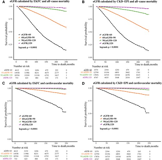 Kaplan–Meier survival analysis of all-cause and cardiovascular mortality. (A, C) According to the estimated glomerular filtration rate categories calculated with the European Kidney Function Consortium equation. (B, D) According to the estimated glomerular filtration rate categories calculated with the Chronic Kidney Disease Epidemiology Collaboration equation. CKD-EPI, Chronic Kidney Disease Epidemiology Collaboration; eGFR, estimated glomerular filtration rate; EKFC, European Kidney Function Consortium.