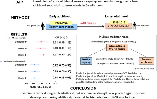 Abbreviations: VIPVIZA, visualization of asymptomatic atherosclerotic disease for optimum cardiovascular prevention; cardiovascular disease risk factors are body mass index, systolic blood pressure, non-HDL cholesterol, triglycerides, and glucose tolerance status.