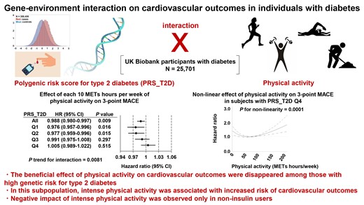 Graphical abstract