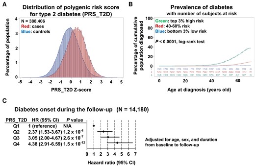 Effect of polygenic risk for type 2 diabetes on the prevalence and incidence of diabetes. (A) Distribution of polygenic risk score for type 2 diabetes for participants with diabetes (cases) and those without diabetes (controls). (B) Relationship between age and prevalence of diabetes among participants with the top 3% highest polygenic risk score for type 2 diabetes (top), those with intermediate polygenic risk score for type 2 diabetes (40–60%, middle), and those with the bottom 3% lowest polygenic risk score for type 2 diabetes (bottom). (C) Effect of polygenic risk score for type 2 diabetes on the hazard ratio for onset of diabetes during the follow-up period for participants without diabetes at baseline. Adjusted for age, sex, and duration from baseline to follow-up.
