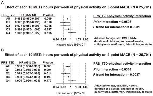 Effect of type 2 diabetes polygenic risk–physical activity interaction on cardiovascular outcomes in participants with diabetes. (A) Effect of each 10 metabolic equivalents hours per week of physical activity on the hazard ratio for three-point major adverse cardiovascular events among participants with diabetes, by quartile of polygenic risk score for type 2 diabetes. Adjusted for age, sex, body mass index, haemoglobin A1c, duration of diabetes, and use of insulin, sulfonylurea, metformin, thiazolidine, or statin. (B) Effect of each 10 metabolic equivalents hours per week of physical activity on the hazard ratio for four-point major adverse cardiovascular events among participants with diabetes, by quartile of polygenic risk score for type 2 diabetes. Adjusted for age, sex, body mass index, haemoglobin A1c, duration of diabetes, and use of insulin, sulfonylurea, metformin, thiazolidine, or statin.