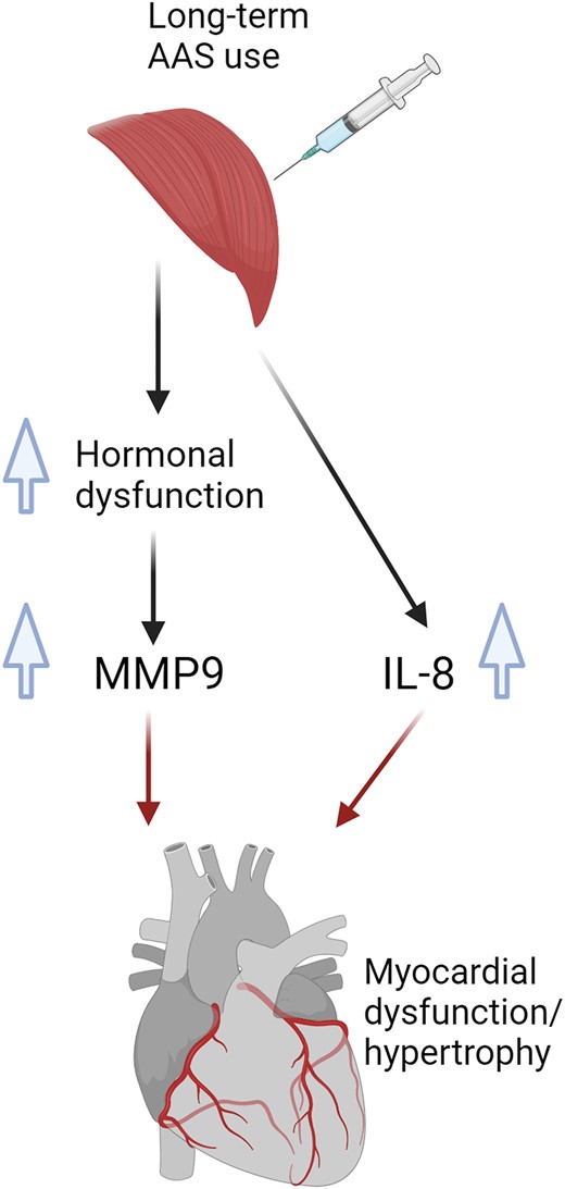 Graphical Abstract