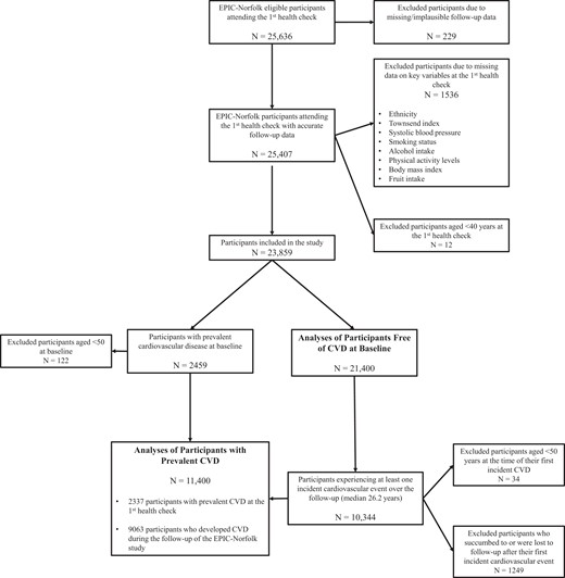Patient population flowchart.