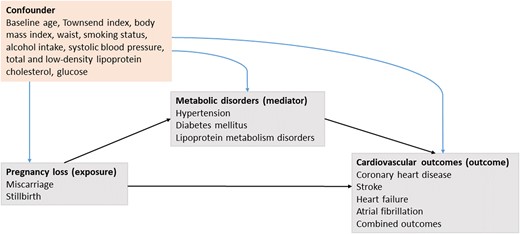 Causal-directed acyclic graph depicting the relations of an assumed causal model.