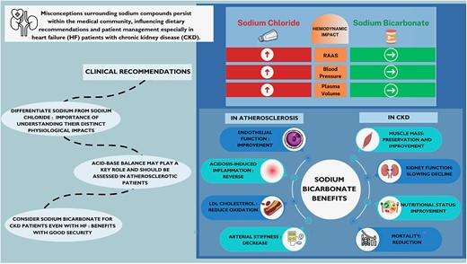 NaCl, sodium chloride; NaHCO3, sodium bicarbonate; HF, heart failure; CKD, chronic kidney disease; RAAS, renin angiotensin aldosterone system.