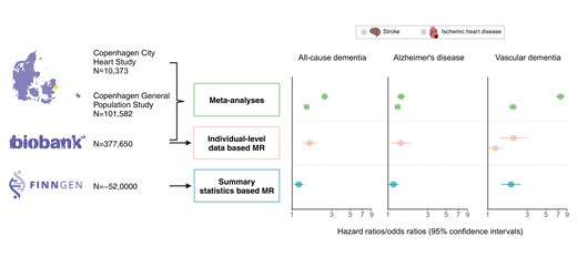 Graphical Abstract