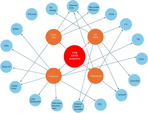 A tree diagram highlighting non-invasive tests in patients presenting with symptoms or conditions that could be attributed to Long COVID. 6MWT, 6 min walk test; BP, blood pressure; CPET, cardiopulmonary exercise test; CMR, cardiovascular magnetic resonance; CT, computed tomography; ECG, electrocardiography; h, hour; ILR, implantable loop recorder; OI, orthostatic intolerance; POTS, postural orthostatic tachycardia syndrome.